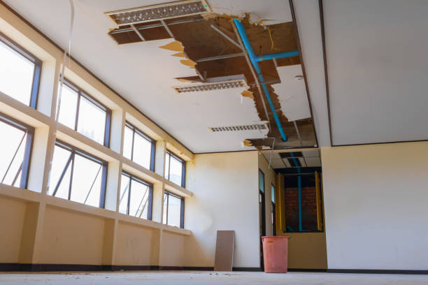 Best Local water damage restoration  in Tn Lakes, WI