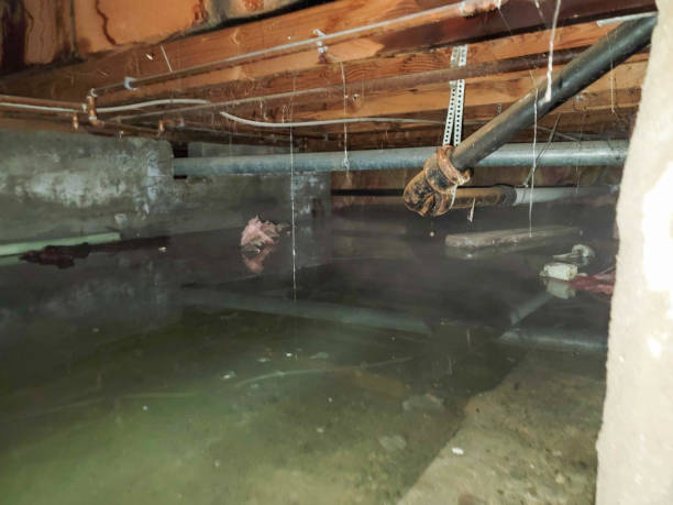 Best Commercial water damage restoration  in Tn Lakes, WI