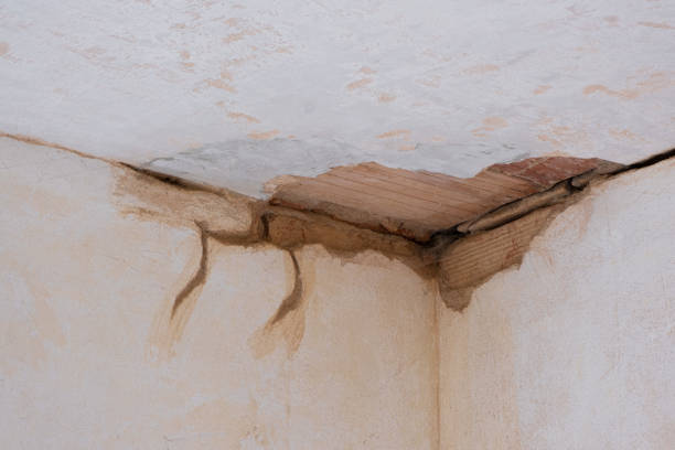 Best Professional water damage repair  in Tn Lakes, WI