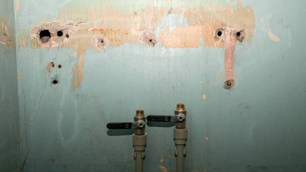 Best Mold removal after water damage  in Tn Lakes, WI