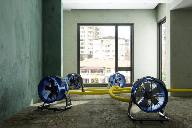Best Fire Damage Restoration  in Tn Lakes, WI
